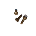 Engine Parts Cylinder Head Exhaust Port Screw